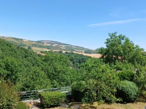 la campagne vue du gite en auvergne