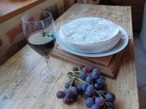 fromage st nectaire et vin d'auvergne